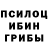 Псилоцибиновые грибы Magic Shrooms Kamron Temurov