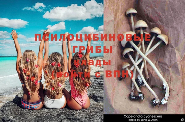 марки lsd Алзамай