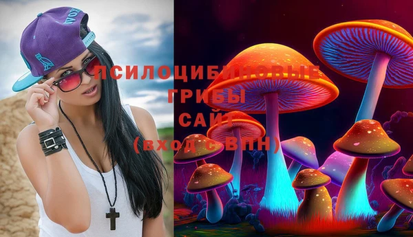 тгк Алексеевка