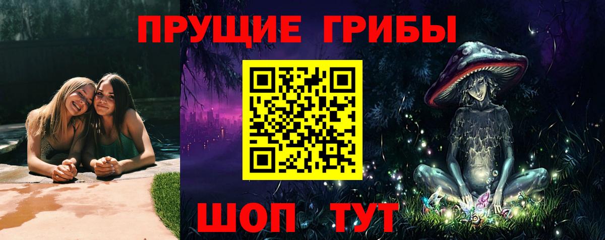 Псилоцибиновые грибы GOLDEN TEACHER Краснотурьинск