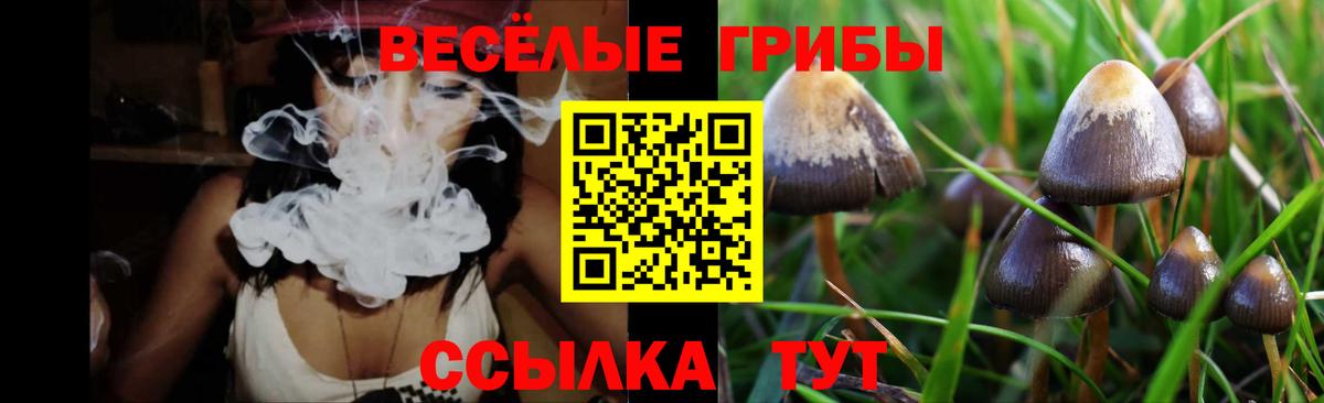 Галлюциногенные грибы MAGIC MUSHROOMS  Вход с VPN  Краснотурьинск 